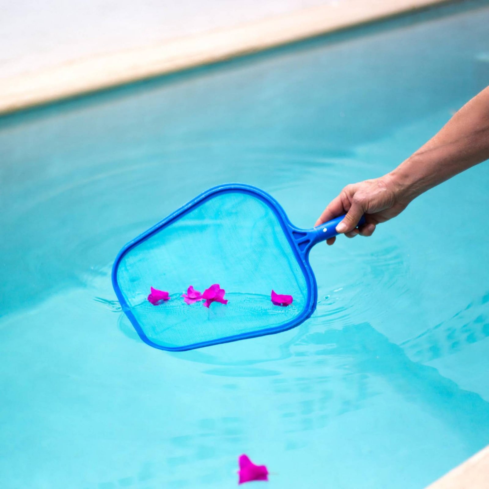 Çıkarılabilir Havuz Yaprak Ağı - Pool Skimmer Net incelemesi ve fiyatı